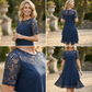 Rochie Midi în Linie A, cu Stratificare din Tul, pentru Femei