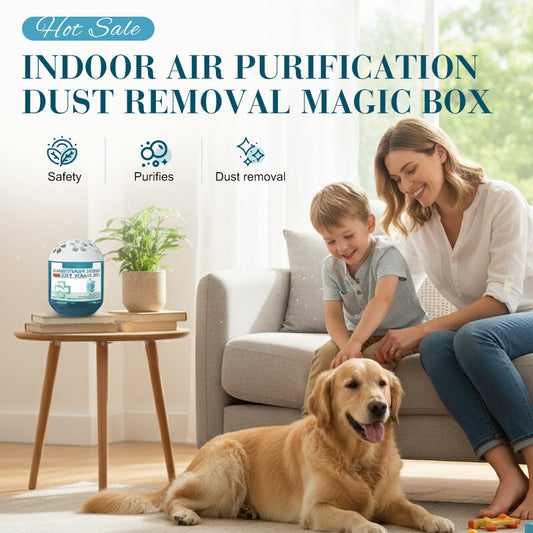⌛50% reducere la toate produsele! ⏰Purificarea aerului din interior Îndepărtarea prafului Magic Box