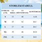 ☀️ REDUCERE de 45% pentru vară 🏖️Costum de baie sexy cu bretele pentru femei